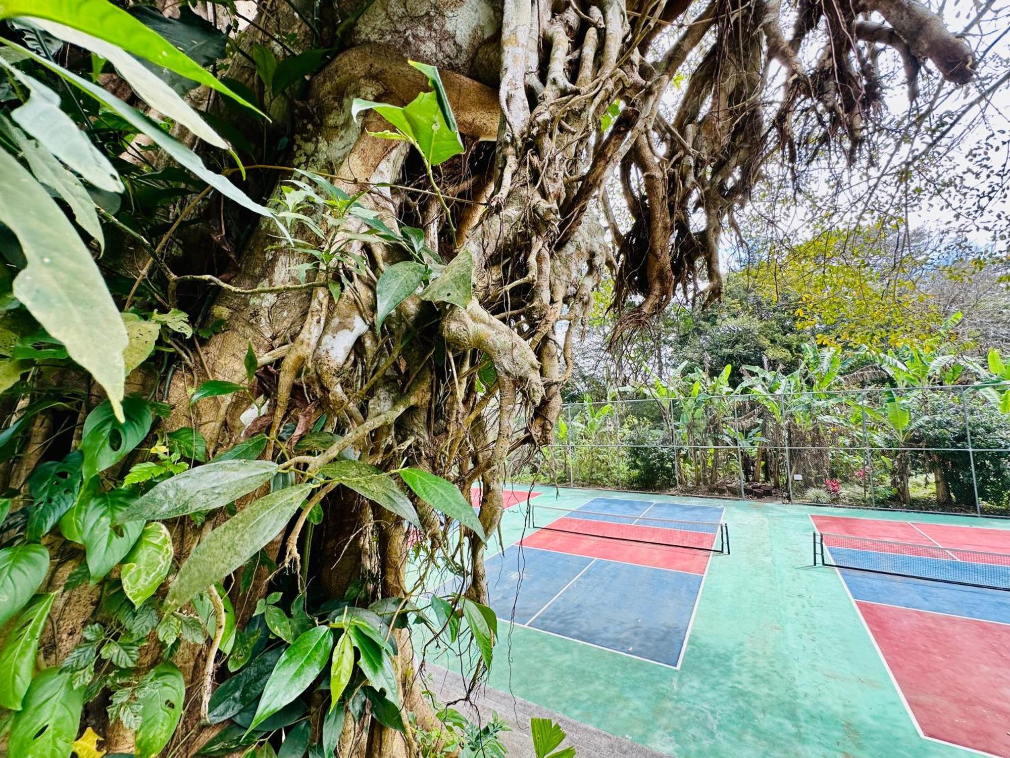 Lake Arenal Brewery & Hotel Tilaran Ngoại thất bức ảnh