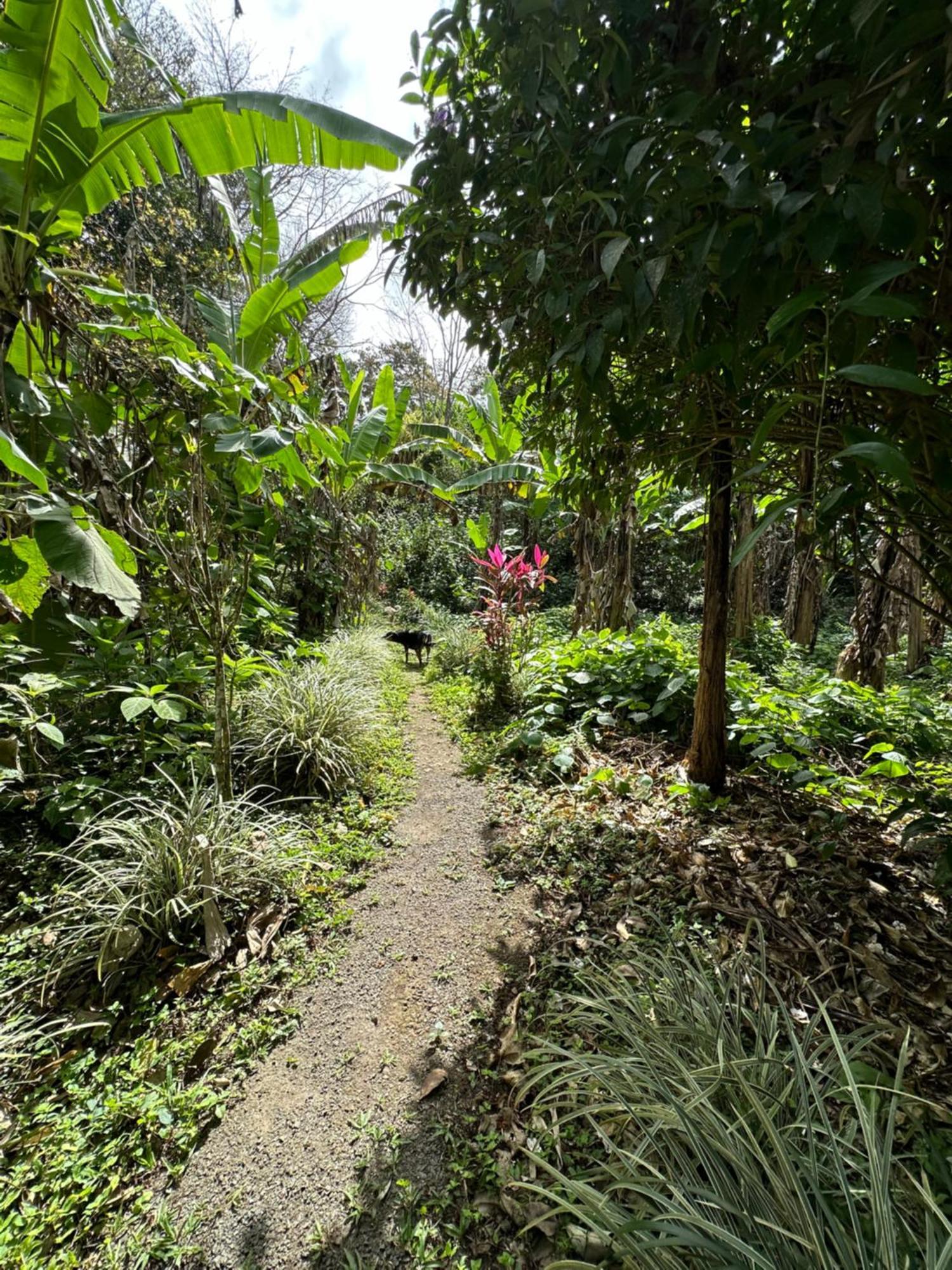 Lake Arenal Brewery & Hotel Tilaran Ngoại thất bức ảnh