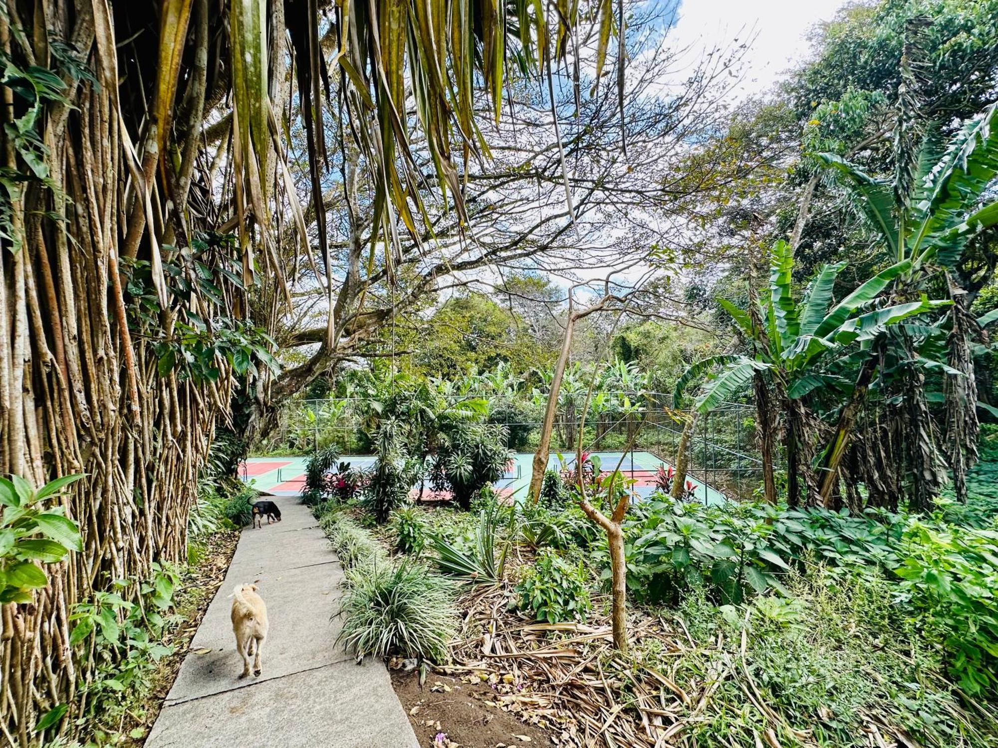 Lake Arenal Brewery & Hotel Tilaran Ngoại thất bức ảnh